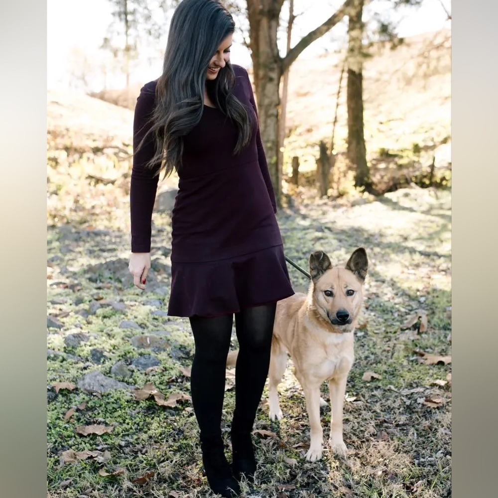 Slate & Willow Eggplant Flare Dress 12 Purple Wine Long Sleeve Vneck Midi